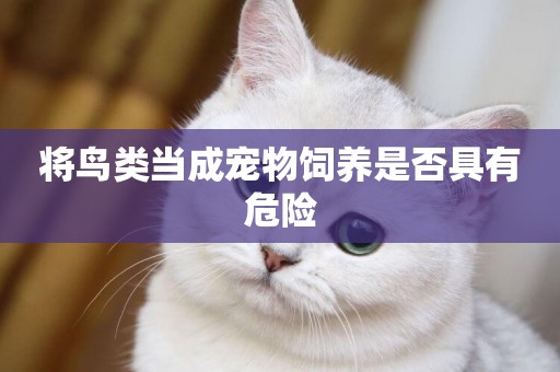 將鳥類當成寵物飼養是否具有危險