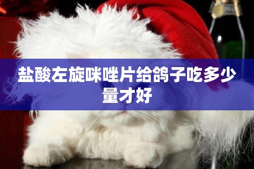鹽酸左旋咪唑片給鴿子吃多少量才好