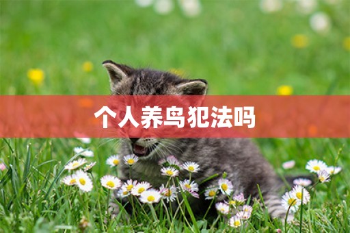 個人養鳥犯法嗎