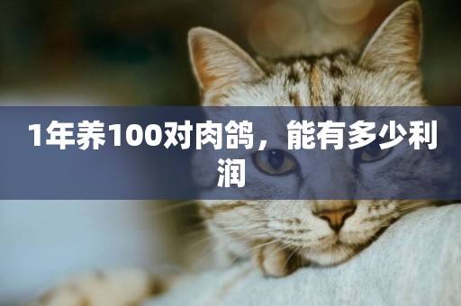 1年養100對肉鴿，能有多少利潤