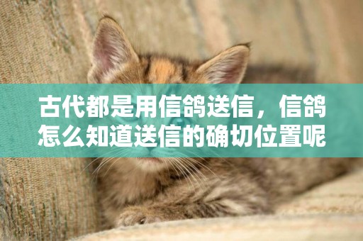 古代都是用信鴿送信，信鴿怎么知道送信的確切位置呢