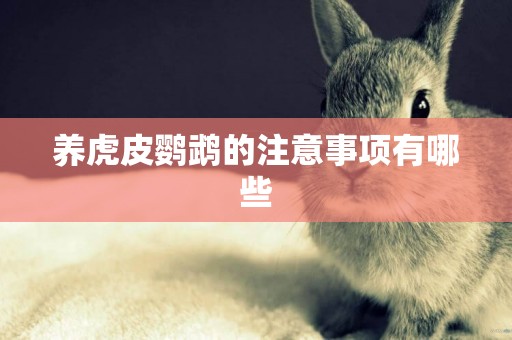養虎皮鸚鵡的注意事項有哪些