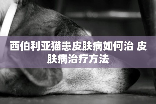 西伯利亞貓患皮膚病如何治 皮膚病治療方法