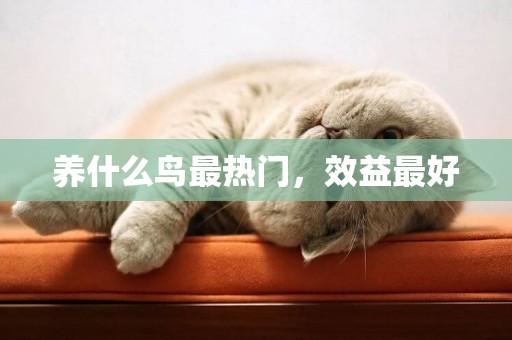 養什么鳥最熱門，效益最好
