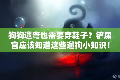 狗狗遛彎也需要穿鞋子？鏟屎官應該知道這些遛狗小知識！