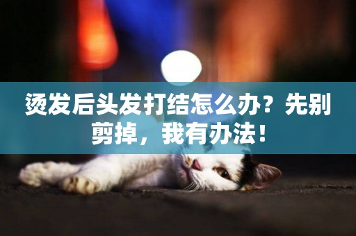 燙發后頭發打結怎么辦？先別剪掉，我有辦法！
