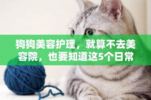 狗狗美容護理，就算不去美容院，也要知道這5個日常護理