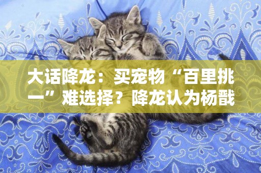 大話降龍：買寵物“百里挑一”難選擇？降龍認為楊戩襯“貴婦犬”
