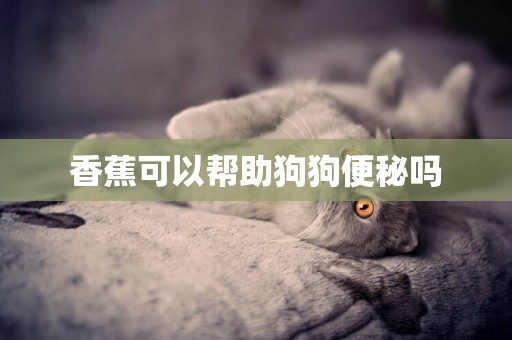 香蕉可以幫助狗狗便秘嗎