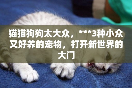 貓貓狗狗太大眾，***3種小眾又好養的寵物，打開新世界的大門