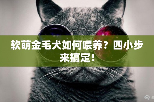 軟萌金毛犬如何喂養？四小步來搞定！