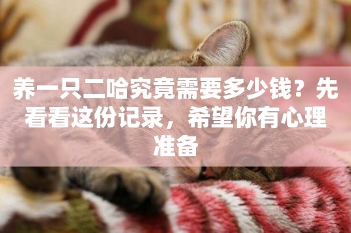 養一只二哈究竟需要多少錢？先看看這份記錄，希望你有心理準備