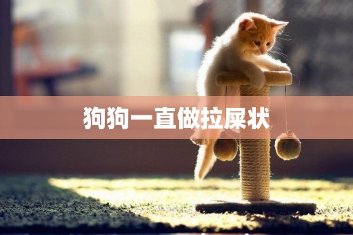 狗狗一直做拉屎狀