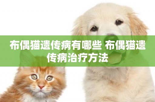 布偶貓遺傳病有哪些 布偶貓遺傳病治療方法