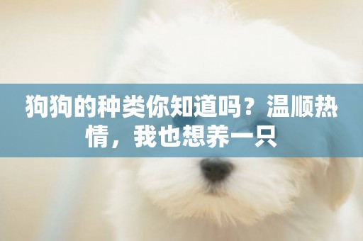 狗狗的種類你知道嗎？溫順熱情，我也想養一只