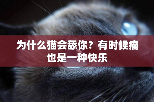 為什么貓會舔你？有時候痛也是一種快樂