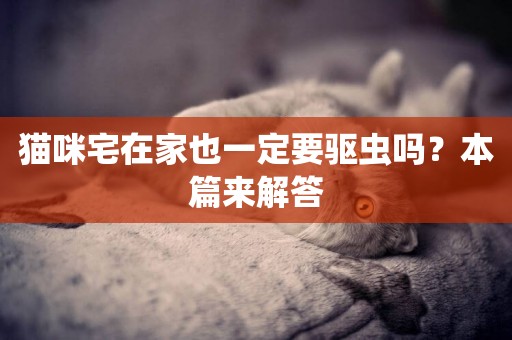 貓咪宅在家也一定要驅蟲嗎？本篇來解答