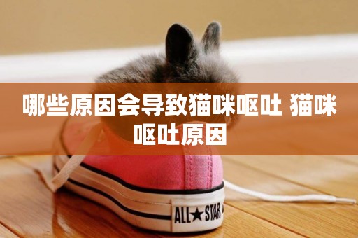 哪些原因會導致貓咪嘔吐 貓咪嘔吐原因