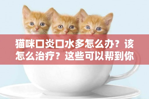 貓咪口炎口水多怎么辦？該怎么治療？這些可以幫到你