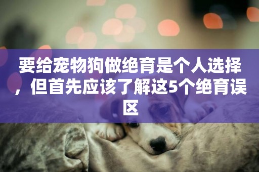 要給寵物狗做絕育是個人選擇，但首先應該了解這5個絕育誤區