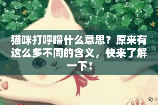 貓咪打呼嚕什么意思？原來有這么多不同的含義，快來了解一下！