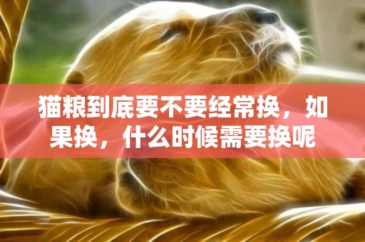 貓糧到底要不要經常換，如果換，什么時候需要換呢