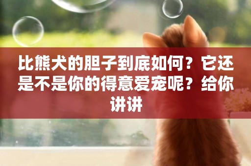 比熊犬的膽子到底如何？它還是不是你的得意愛寵呢？給你講講