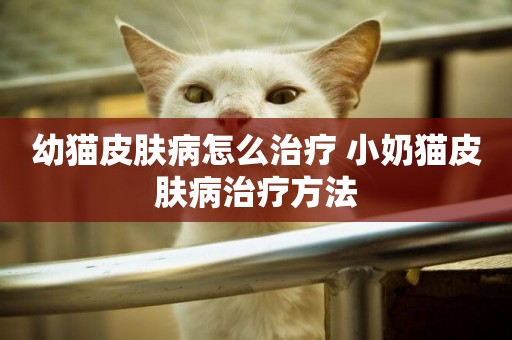 幼貓皮膚病怎么治療 小奶貓皮膚病治療方法