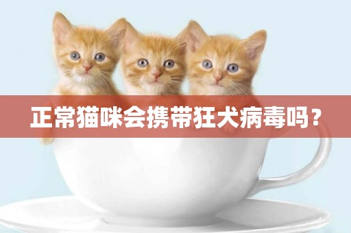 正常貓咪會攜帶狂犬病毒嗎？