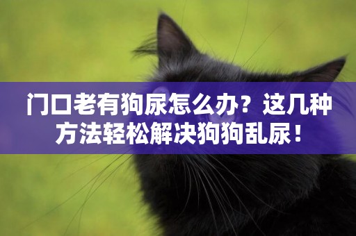 門口老有狗尿怎么辦？這幾種方法輕松解決狗狗亂尿！