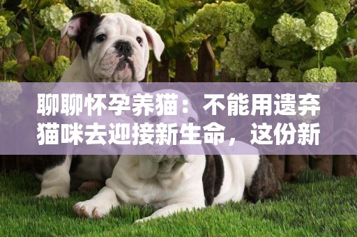 聊聊懷孕養貓：不能用遺棄貓咪去迎接新生命，這份新生禮物太糟糕