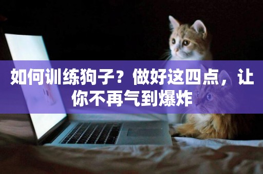 如何訓練狗子？做好這四點，讓你不再氣到爆炸