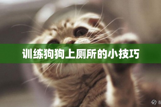 訓練狗狗上廁所的小技巧