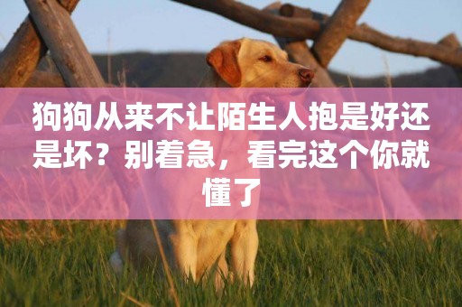 狗狗從來不讓陌生人抱是好還是壞？別著急，看完這個你就懂了