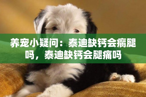 養寵小疑問：泰迪缺鈣會瘸腿嗎，泰迪缺鈣會腿痛嗎
