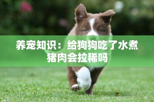 養寵知識：給狗狗吃了水煮豬肉會拉稀嗎