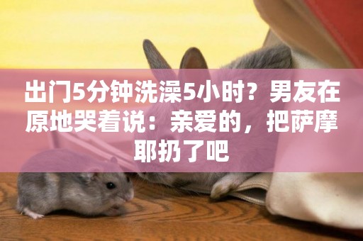 出門5分鐘洗澡5小時？男友在原地哭著說：親愛的，把薩摩耶扔了吧