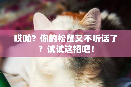 哎呦？你的松鼠又不聽話了？試試這招吧！