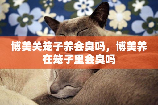 博美關籠子養會臭嗎，博美養在籠子里會臭嗎