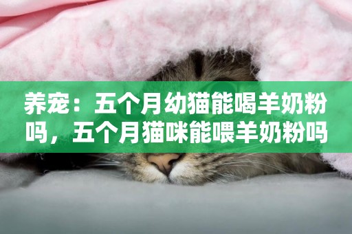 養寵：五個月幼貓能喝羊奶粉嗎，五個月貓咪能喂羊奶粉嗎