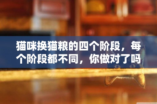 貓咪換貓糧的四個階段，每個階段都不同，你做對了嗎