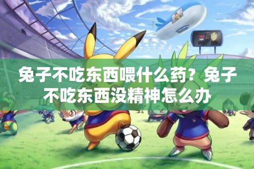 兔子不吃東西喂什么藥？兔子不吃東西沒精神怎么辦