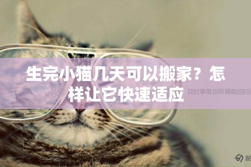 生完小貓幾天可以搬家？怎樣讓它快速適應