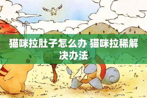 貓咪拉肚子怎么辦 貓咪拉稀解決辦法