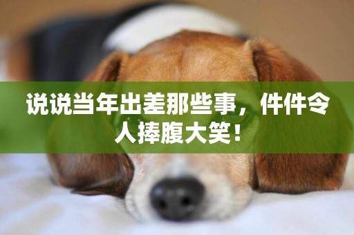 說說當年出差那些事，件件令人捧腹大笑！