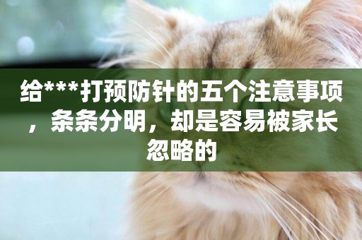 給***打預防針的五個注意事項，條條分明，卻是容易被家長忽略的