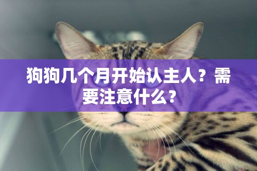 狗狗幾個月開始認主人？需要注意什么？