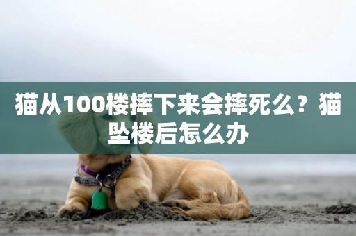 貓從100樓摔下來會摔死么？貓墜樓后怎么辦
