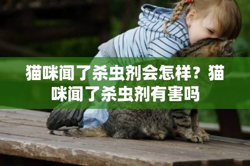 貓咪聞了殺蟲劑會怎樣？貓咪聞了殺蟲劑有害嗎