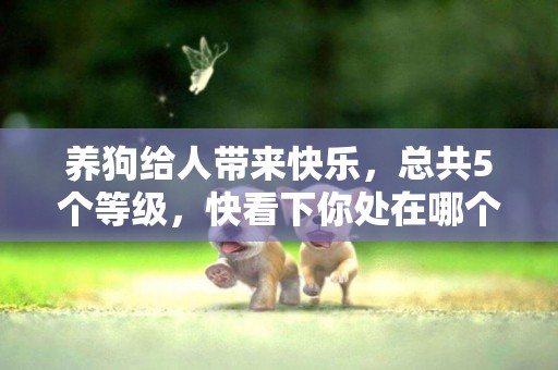 養狗給人帶來快樂，總共5個等級，快看下你處在哪個等級的快樂？